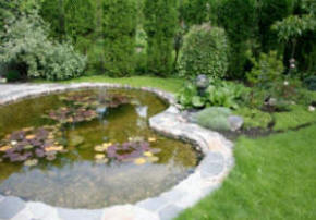 Pond Cleaning and Maintenance