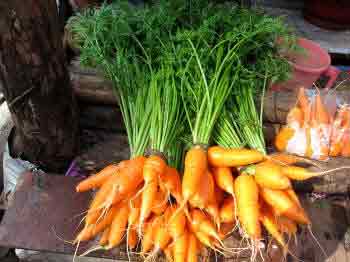 Assorted Carrots