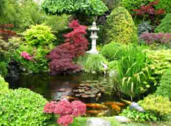Ornamental garden pond