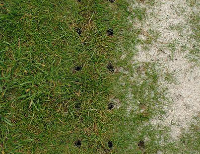 Holes from lawn aeration operations