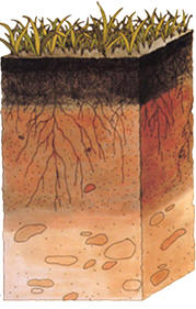 Soil System