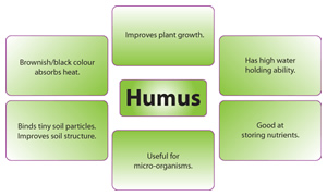 Properties of Humus Soils