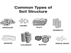 Types of Soil Structures