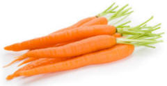 Carrots free from ravages of Carrot Fly